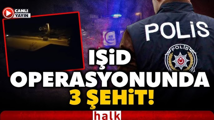 juniibrutii's tweet photo. @erkan12999 bilmem var mı https://t.co/WjaH5hWbcX