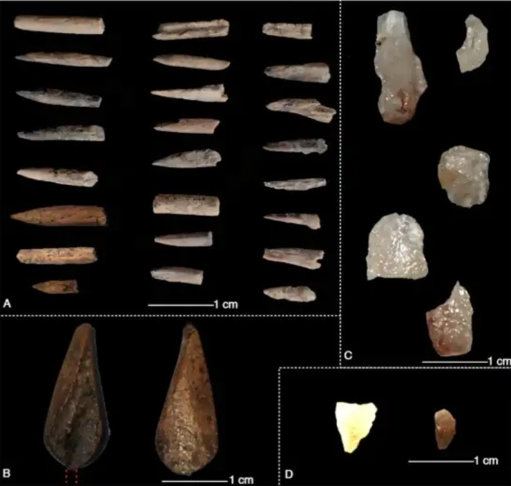 TamilGuardian's tweet photo. 🚨 Three thousand years deep - Evidence uncovers Velanai's ancient seafarers

A newly published study has identified the earliest scientifically confirmed evidence of prehistoric human settlement on Velanai Island in the Jaffna Peninsula, dating back around 3,460 years and overturning an erroneous long-held Sri Lankan assumption that the region was largely uninhabited until much later.

The study, published in the Journal of Island and Coastal Archaeology and led by Thilanka Siriwardana of Rajarata University of Sri Lanka and the University of Groningen, examined an extensive shell midden, designated CB/Ex1, around a kilometre south of Velanai beach. Its earliest marine deposits date to between roughly 6,300 and 5,970 years ago, while the earliest confirmed human occupation is placed at about 3,460 years ago, the oldest yet established anywhere in northern Sri Lanka.