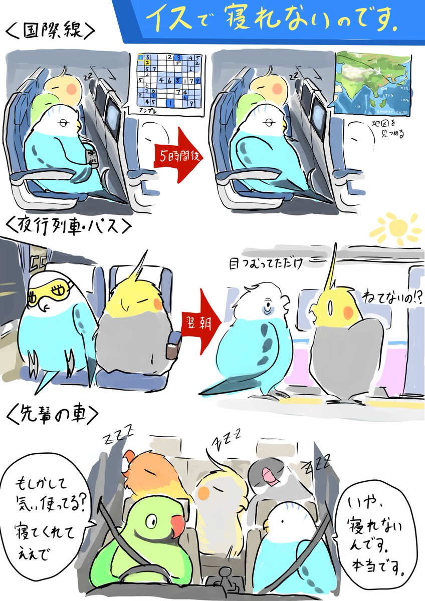 新幹線の座席夜行・・・というのを聞いて、
イスで寝れないひよちゃんを・・・
ちなみに飼い主は最近僅かに寝れるようになりました 