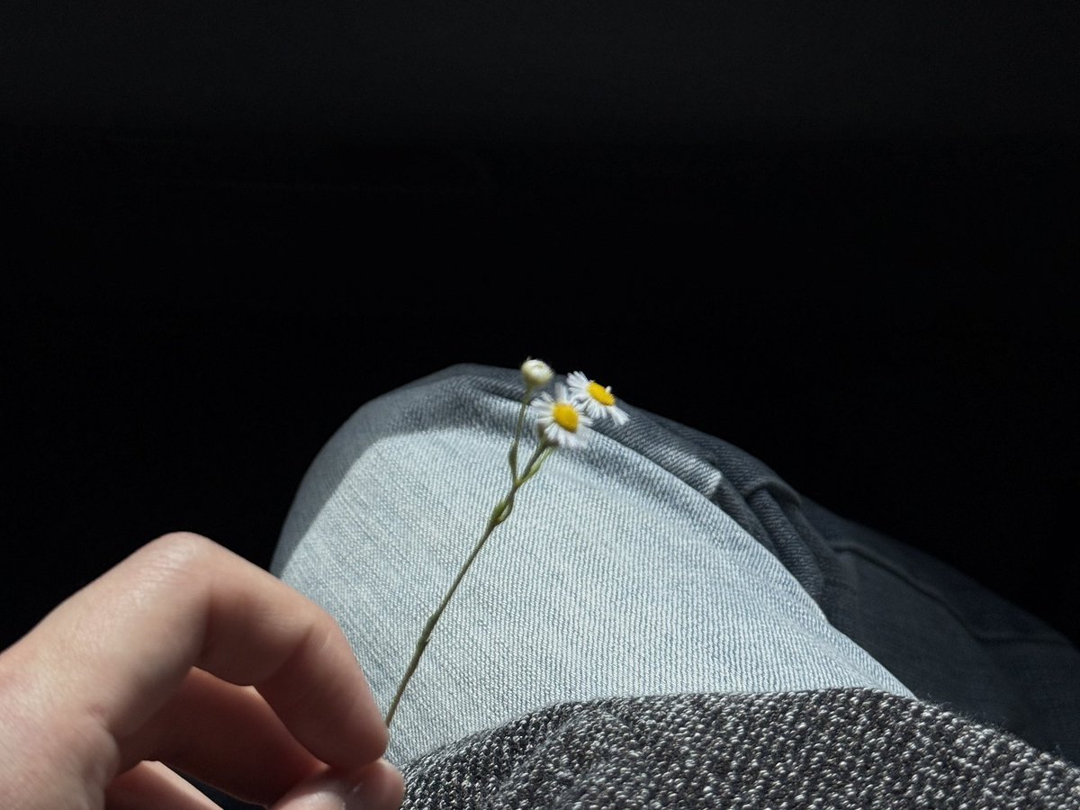 featlsw's tweet photo. remember how sangwon shared that his caption (“is the tortoise wiser than the hare?”) came from personal feelings he wanted to express through metaphors… so whatever this recent caption means to him, i hope he feels more of the love surrounding him than any meaningless noise, and that he hold onto the fans’ reassurance that he’s so loved and cheered on by so many. i hope he knows that 🥹🤍