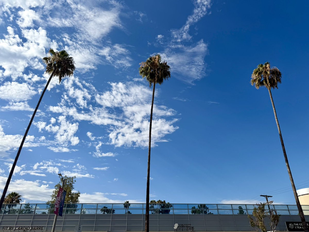 LaInaMinute's tweet photo. Have a beautiful day, L.A.🌴🌴🌴 https://t.co/s51o44hLPs