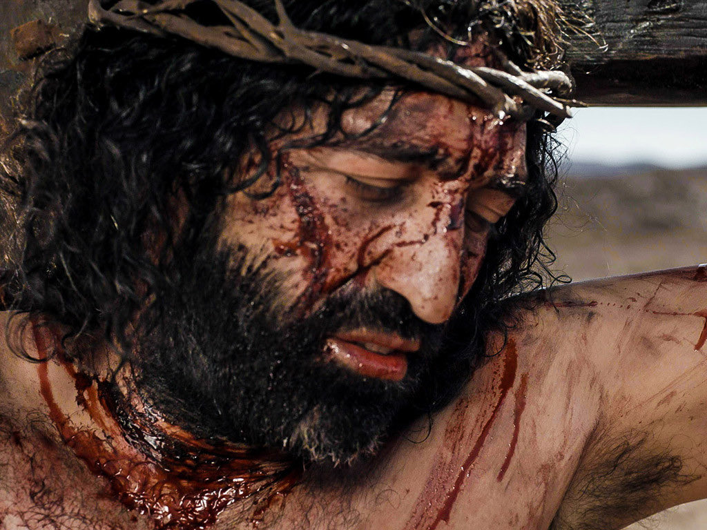 oyama_sc's tweet photo. Romans 8:32
32 He who did not spare his own Son, but gave him up for us all—how will he not also, along with him, graciously give us all things? https://t.co/pHjTGCWBgk