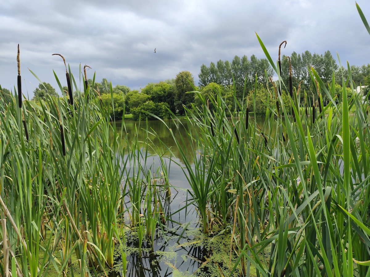 verakimboy's tweet photo. 📱#EverySummerHasItsOwnStory                                             ... like how the reflection is clearly visible in still waters similarly https://t.co/EMn9UYC2UD