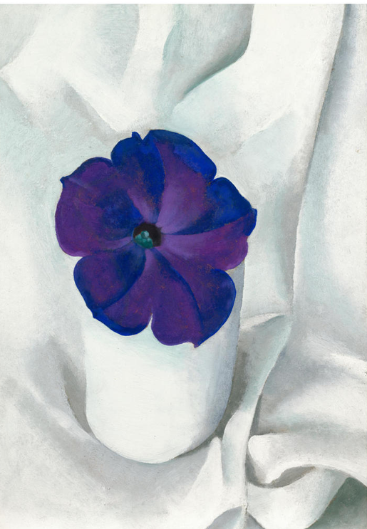 MockingBirdMan1's tweet photo. HBD @Undqk All the best.🌺
Georgia O'Keeffe. Petunia, 1925 https://t.co/uc748F4Wx7