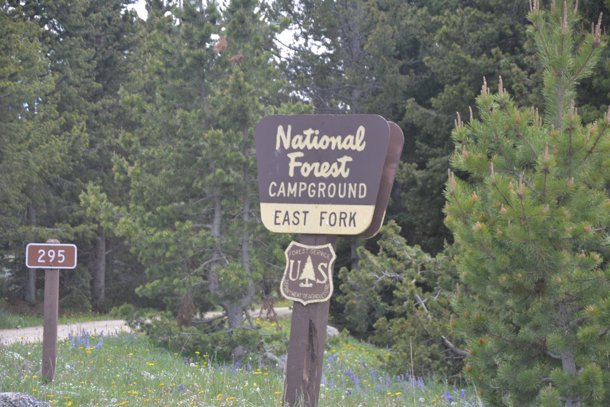 james__card's tweet photo. Love the Forest Service font. Warms my heart when I see it. https://t.co/Rf1hJ5ckZr