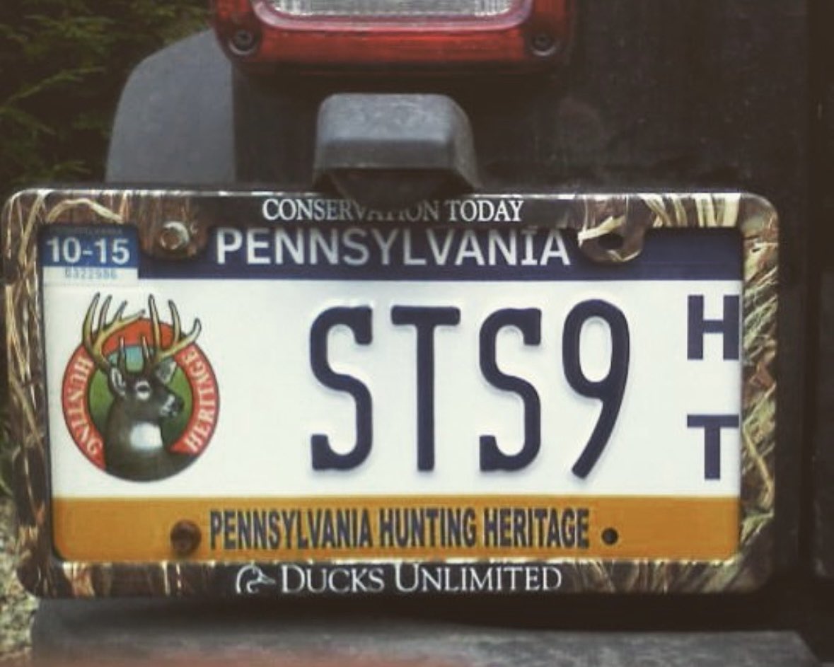 STS9 tweet picture