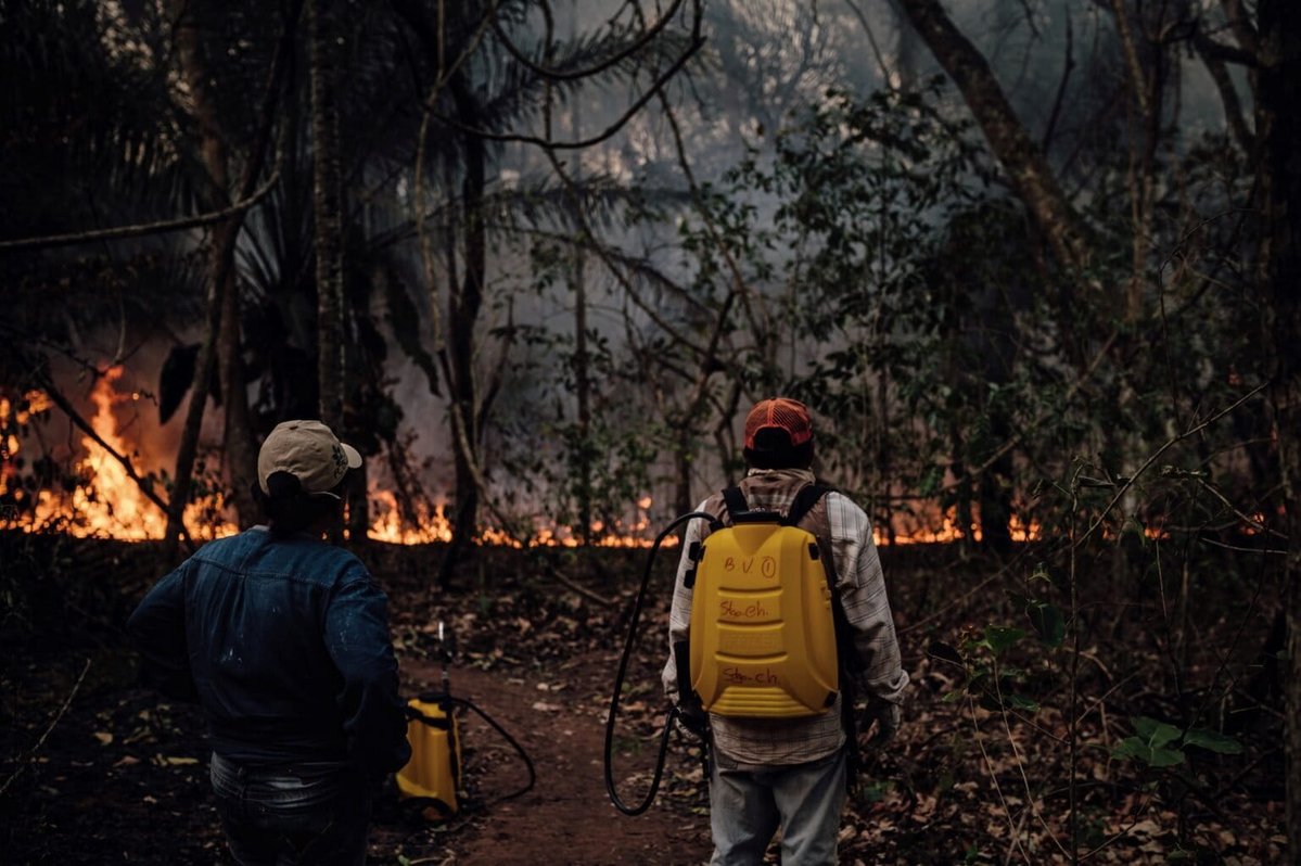 MongabayLatam's tweet photo. 🧐 Un eventual “Súper El Niño” podría convertirse en un nuevo desafío ambiental para Sudamérica entre 2026 y 2027. Hablamos con expertos sobre el tema. https://t.co/AzxtNTDVSY https://t.co/RlTUmRZUK1