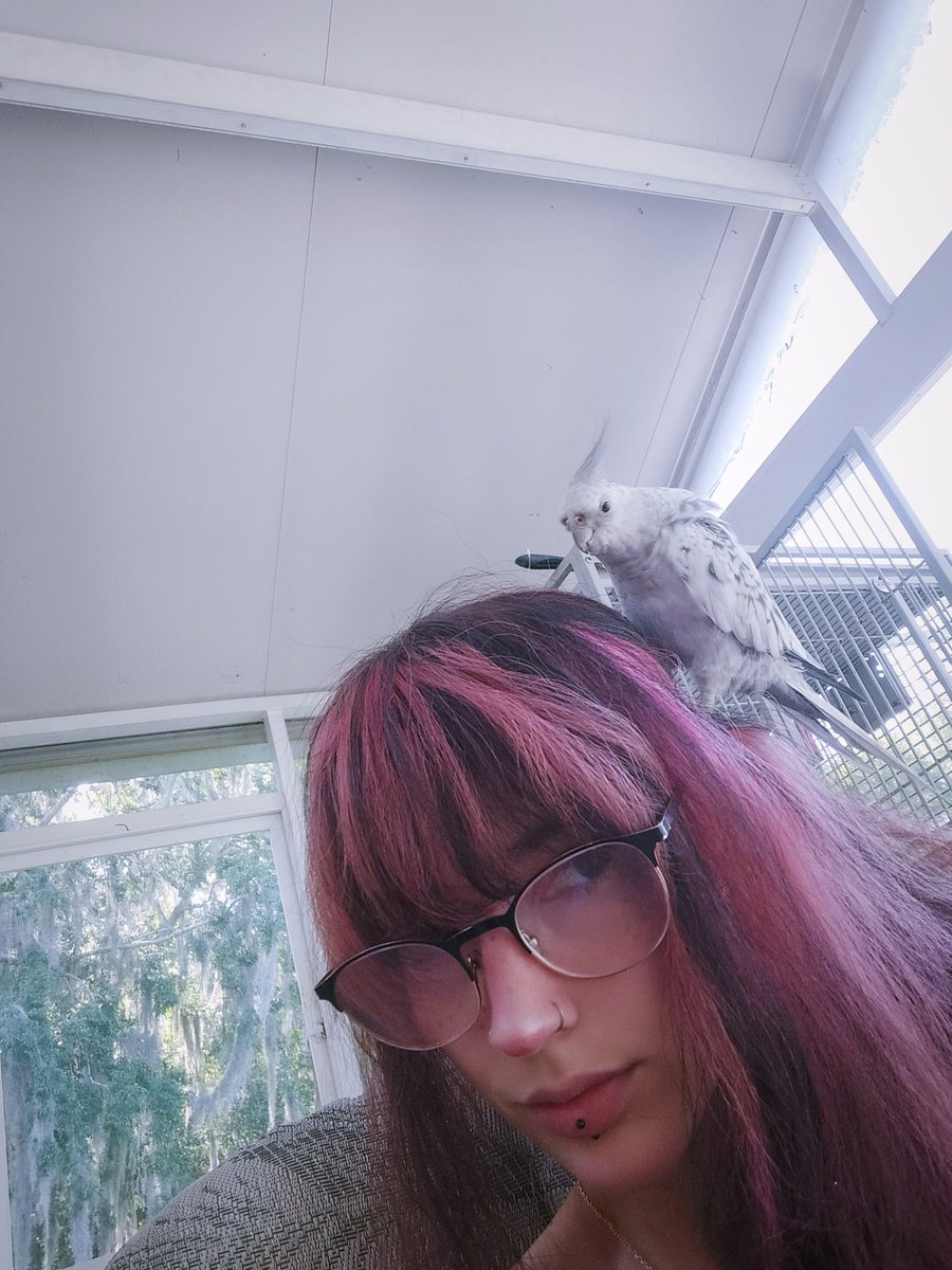 ˚₊‧꒰ა 𓂋 ໒꒱ ‧₊˚𝓐𝓷𝓰𝓮𝓵 tweet media