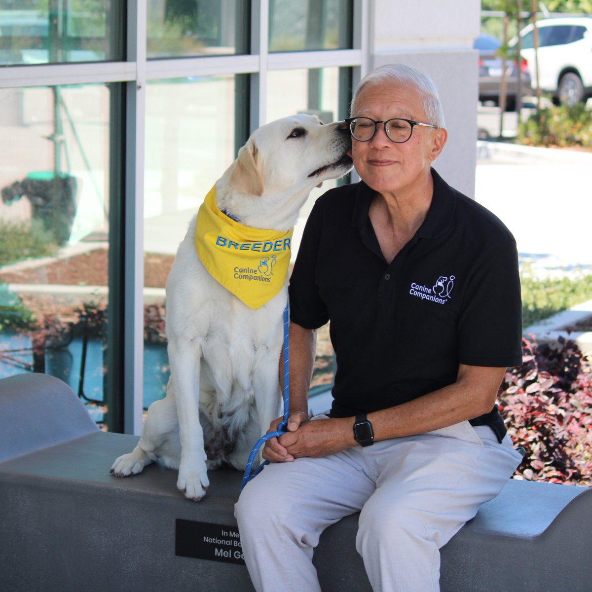 canineorg's tweet photo. 🐕‍🦺 We URGENTLY need #volunteers in Northern CA to care for our FEMALE breeder dogs! 🐾Join our online info session on Friday, June 26, at 10:30 a.m.

➡️ Sign up: https://t.co/Vl8sLmyRwg

We need YOU to make sure we continue to provide #servicedogs to people with disabilities. https://t.co/AU7cZkOrqA