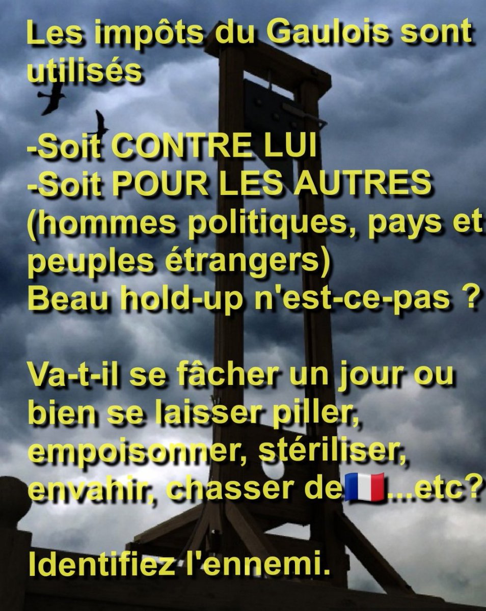 JeanBoneau5's tweet photo. @AnonymeCombatt1 @alienormcphers1 @RafaelSereti Le Gaulois n'a pas l'air de réagir à son PILLAGE : peuple le plus taxé au monde, open bar pour le monde entier... Sauf lui https://t.co/wJRtEFDznz