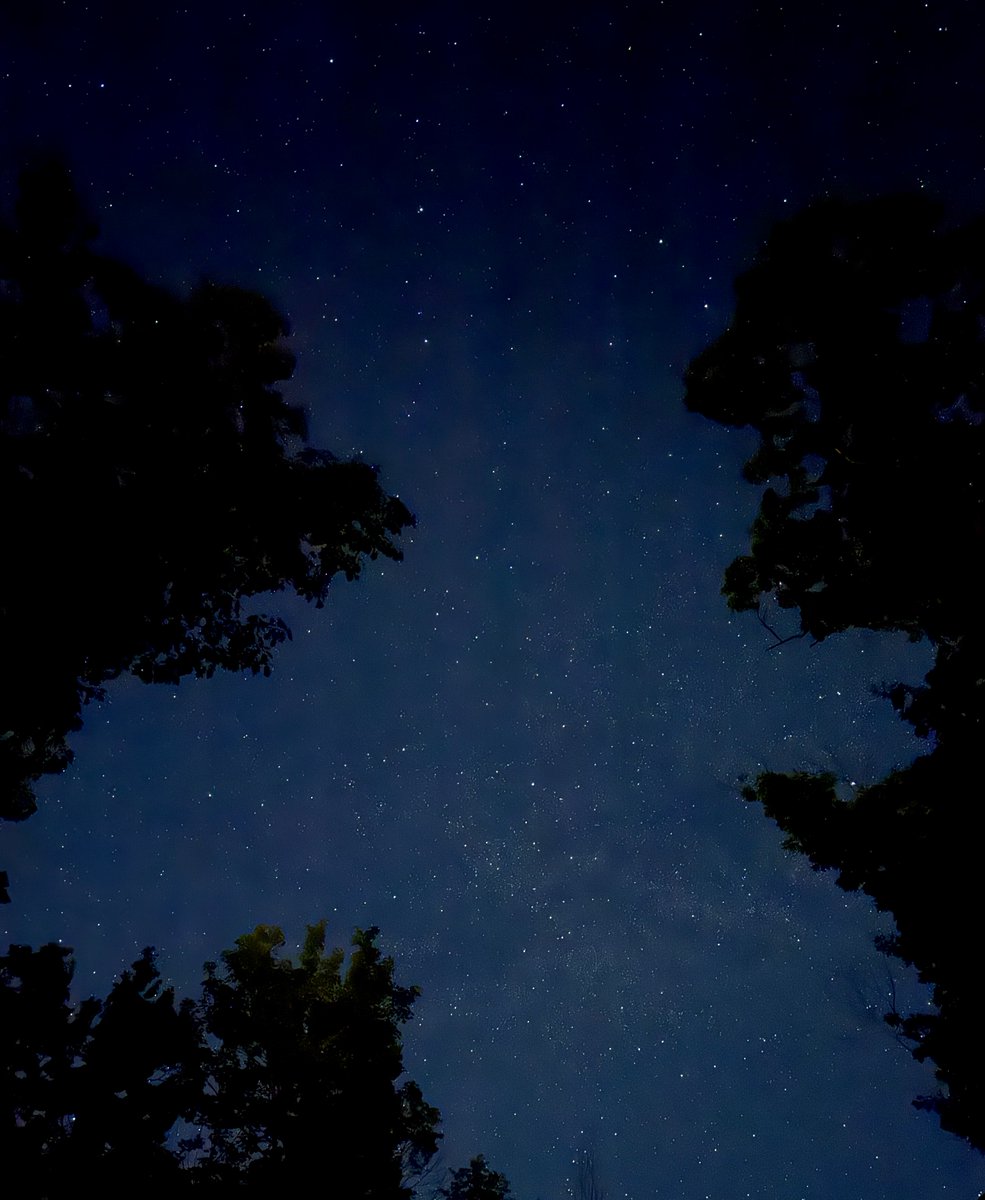 oconnellcabinco's tweet photo. Summer nights in the Northwoods. 🔥
New blog post is up — fire pits, wood-fire sauna, stargazing from the dock, and some actual nighttime photos we finally got out to shoot. Worth a read if you're planning a summer trip. ⬇️

🔗https://t.co/P3436o5IQK https://t.co/NaAZzjIvF7