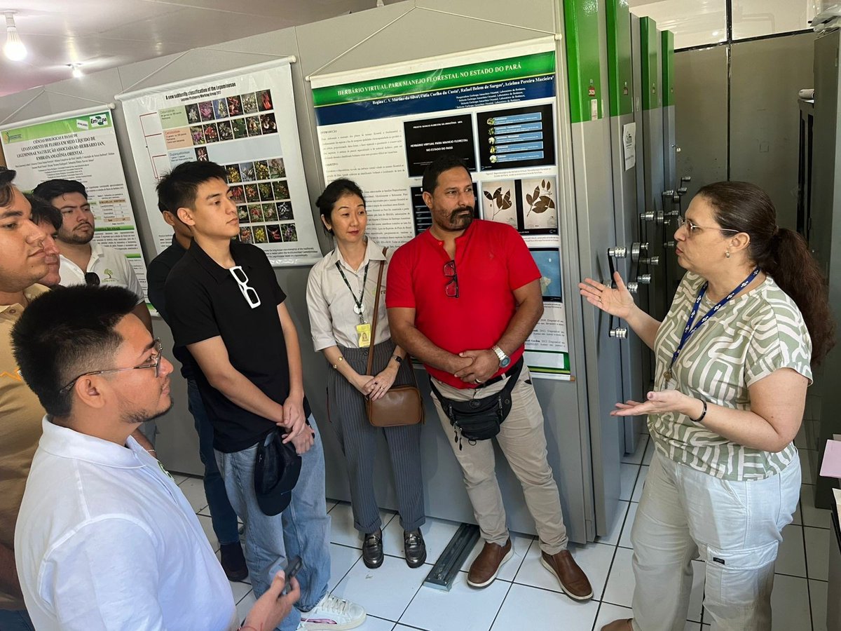 SerforPeru's tweet photo. 🌳 Productores de Ucayali participan en una misión tecnológica en Brasil para conocer innovaciones que fortalezcan la competitividad de la industria forestal maderable y contribuyan al desarrollo de las Concesiones 2.0. https://t.co/nfNMPNI11o