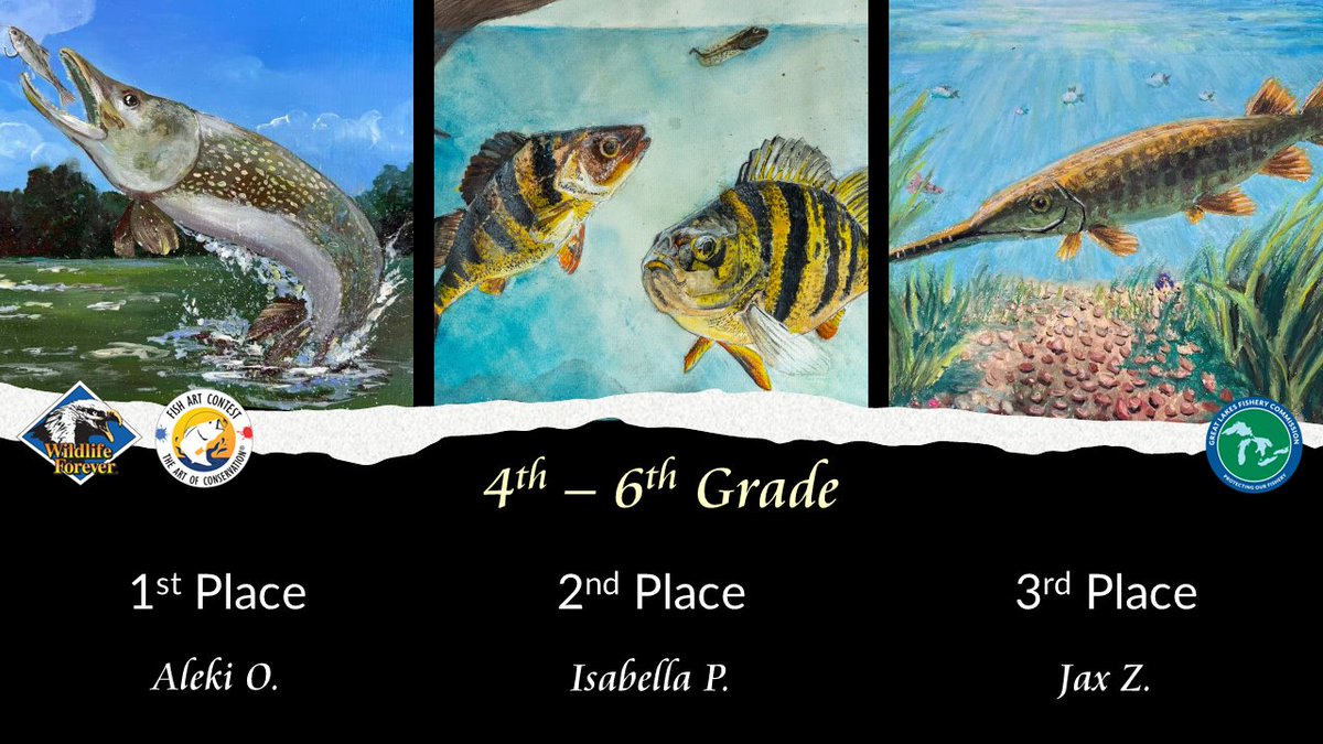 LampreyControl's tweet photo. Congrats to the 2026 #GreatLakes Fish Specialty Award winners! The award, sponsored by the GLFC, is part of @wildlifeforever's Annual #FishArtContest. These young artists did an incredible job—and we hope others will be encouraged to submit next year!
https://t.co/mK7m6X6kT4 https://t.co/PDbEmrFXpZ