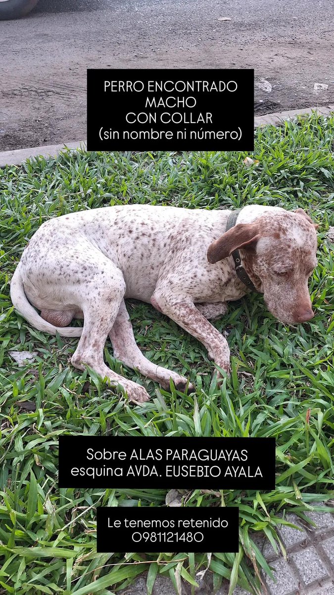 panchicampiz's tweet photo. https://t.co/BSz8q7qQCw