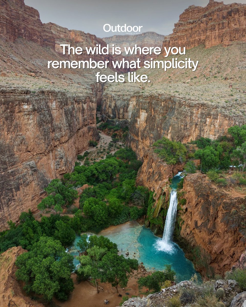 OutdoorTasteUS's tweet photo. 🌾 Across America, nature strips life down to what truly matters.
#ExploreTheUS #WanderMore #AdventureAwaits #OutdoorLife #TasteAndTour https://t.co/XLwDQnubGA