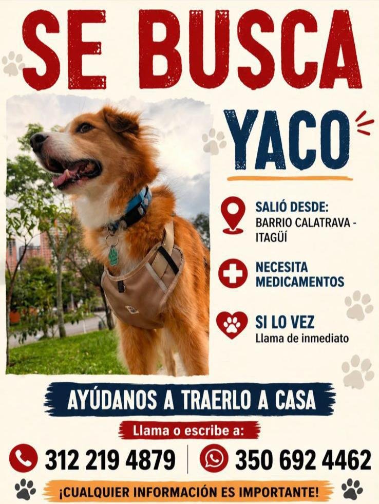 sanmartinuribe's tweet photo. Itagüí 📢🏡🙏 https://t.co/Va3knThTU8