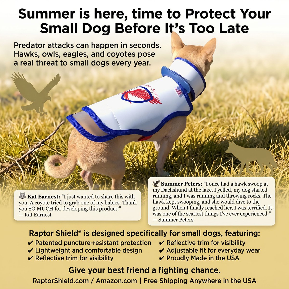 RaptorShieldInc's tweet photo. Protect Your Small Dog Before It's Too Late

Predator attacks can happen in seconds. Hawks, owls, eagles, and coyotes pose a real threat to small dogs every year.

Raptor Shield® is designed specifically for small dogs, featuring:
✔ Patented puncture-resistant protection
✔ Lightweight and comfortable design
✔ Reflective trim for visibility
✔ Adjustable fit for everyday wear
✔ Proudly Made in the USA
Give your best friend a fighting chance.
https://t.co/9RcbJ1QVOB | https://t.co/zm5X8vL3rh Free Shipping Anywhere in the USA