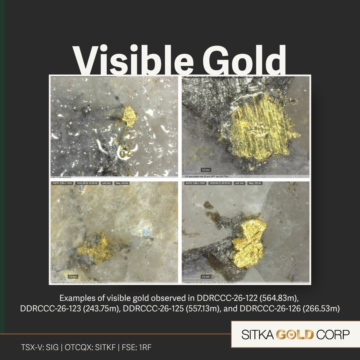 SitkaGoldCorp's tweet photo. New assay results from six additional drill holes at the Blackjack Deposit continue to demonstrate the scale, continuity, and high-grade nature of the growing gold system, with broad intervals of mineralization and multiple high-grade intercepts extending the deposit.

With six drills turning and a fully funded 60,000 m drill program underway, Sitka continues to advance one of Yukon’s largest and fastest-growing gold discoveries.

📰 Read the news release: https://t.co/Y7eG1MY9Km

$SIG.V $SITKF #SitkaGold #InvestYukon #Gold #GoldStocks #JuniorMining #RCGold #Tungsten