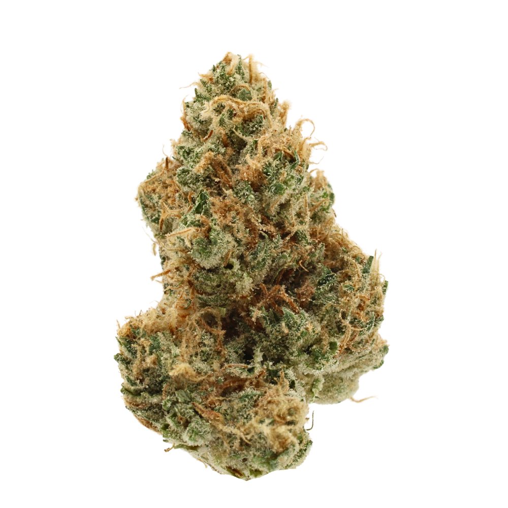 crysp_co's tweet photo. Crysp is bringing you the BEST of both worlds from a new to Crysp grower!  Zatomic for the couch lock Indica crowd! Orange Crush for you Sativa seekers! https://t.co/PfWgPUvUz7