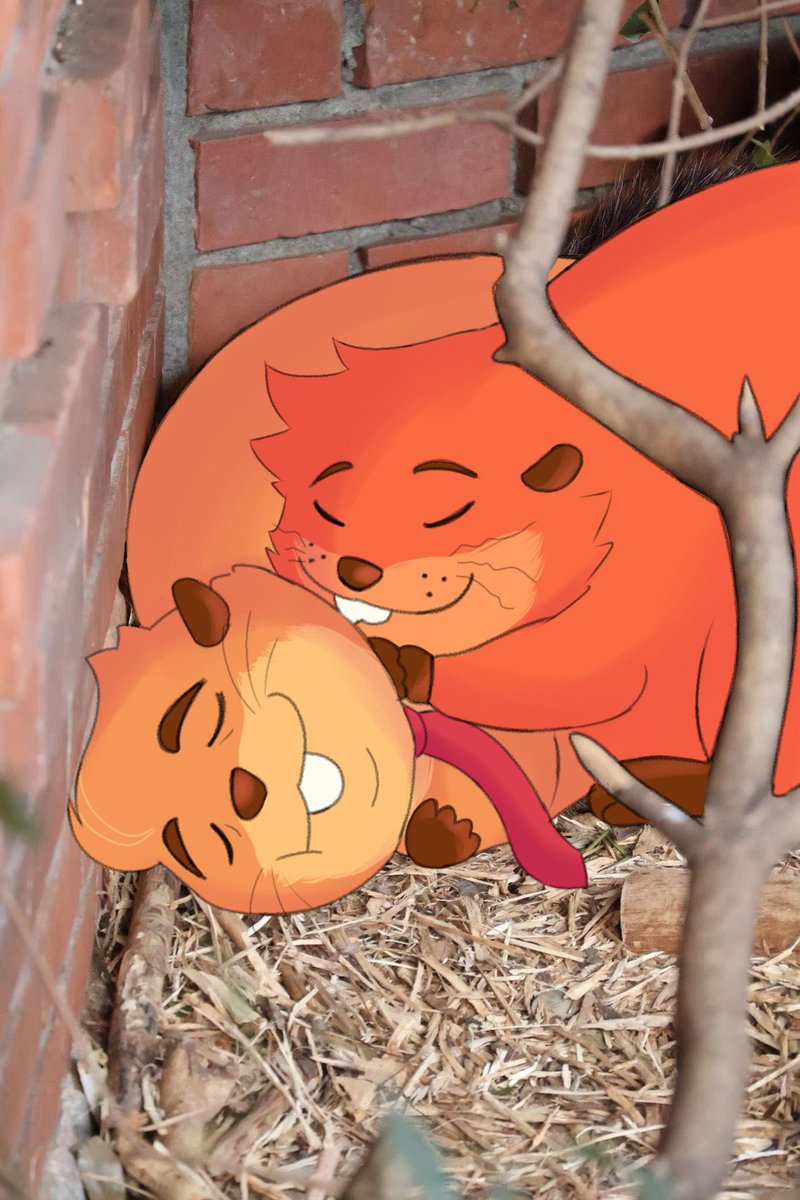 _ItsMintyy's tweet photo. Just a beavers edit

Mabel/Jerry #jerbel https://t.co/LUeAwFqClJ