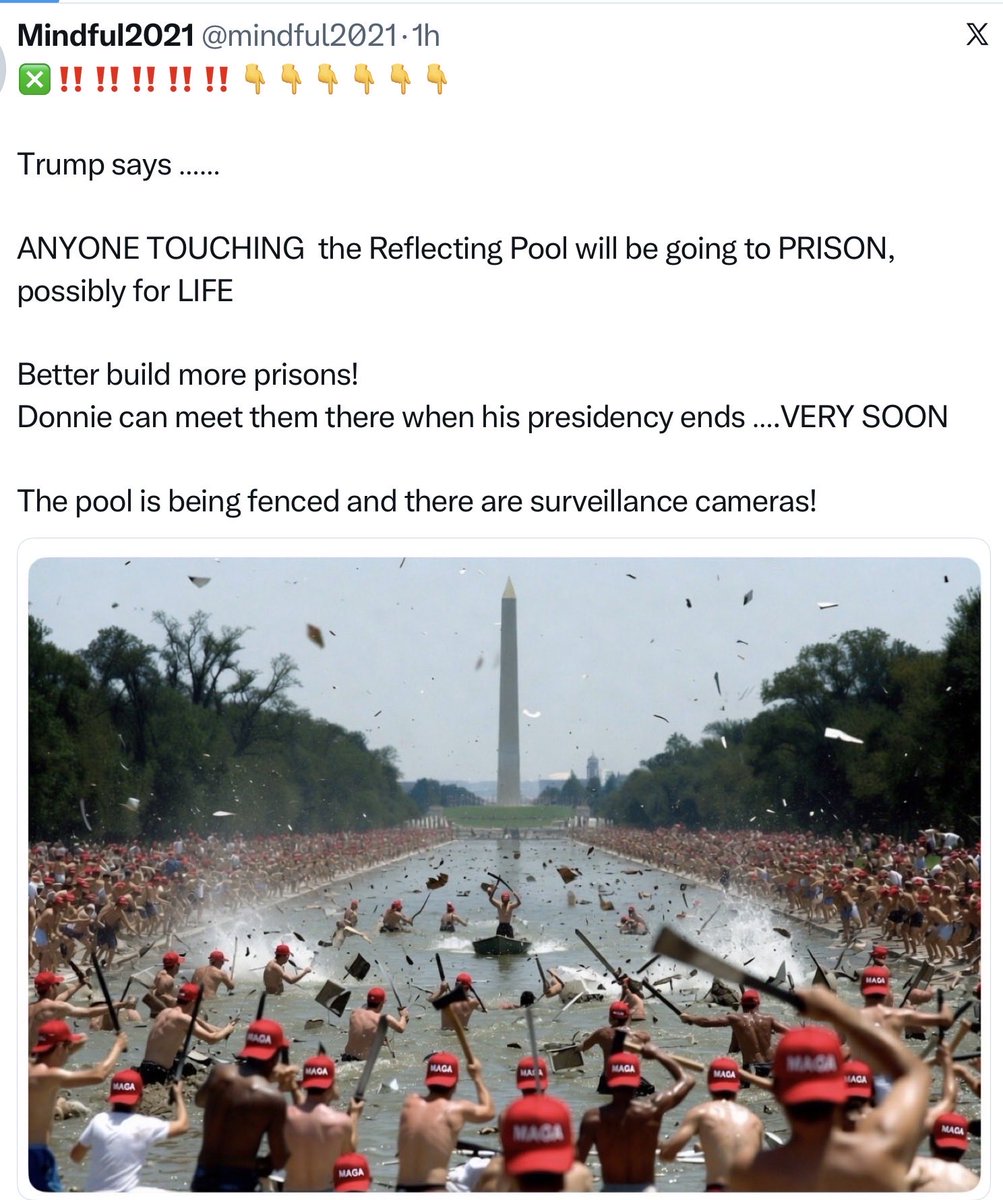 mindful2021's tweet photo. @GuntherEagleman ❎ BAD WORKMANSHIP , heat destroys paint under shallow water and the water has living organisms in it coming from supply from the river. You can’t stop algae unless you have a filter system and pumps. No one in their right mind would purposely damage the reflecting pool! NATURE ! https://t.co/H83NYQpPoS