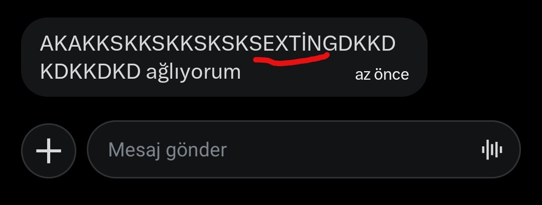 erdem tweet media
