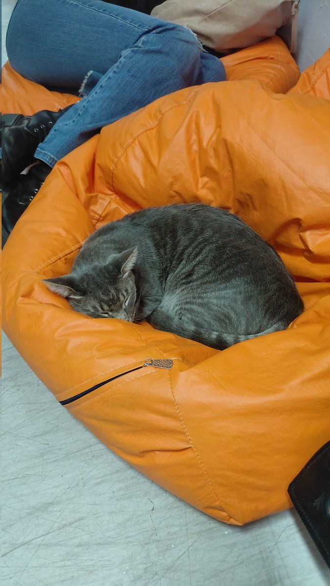 sadsunshit's tweet photo. Me encanta que en mi timeline me apareció gente subiendo fotos de winni y también quiero dejar mi humilde aporte, yo solo voy a cursar para verlo ❤️ https://t.co/xgStaOoDaK