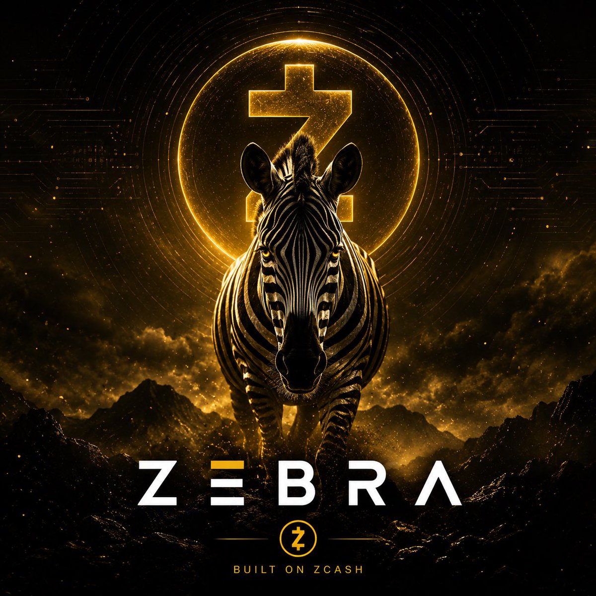 ZebraPerps tweet picture