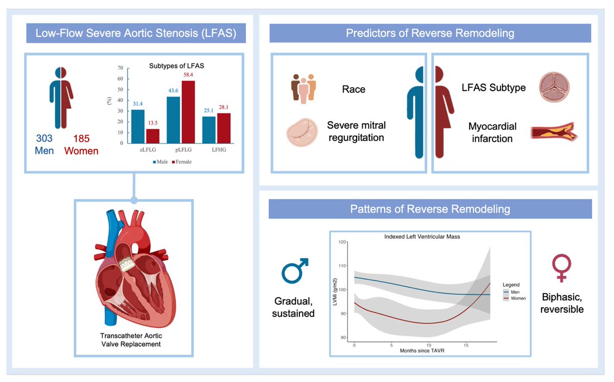 InvasiveCardiol's tweet photo. 🆕Just Published🆕 

Sex Differences in Reverse Remodeling After Transcatheter Aortic Valve Replacement in Low-Flow Aortic Stenosis

Read here ➡️ https://t.co/s8P8fT13Yn

@DLBHATTMD #cardioTwitter #cardioX #cardiology #interventionalcardiology #TAVR https://t.co/7CtreN2tG0