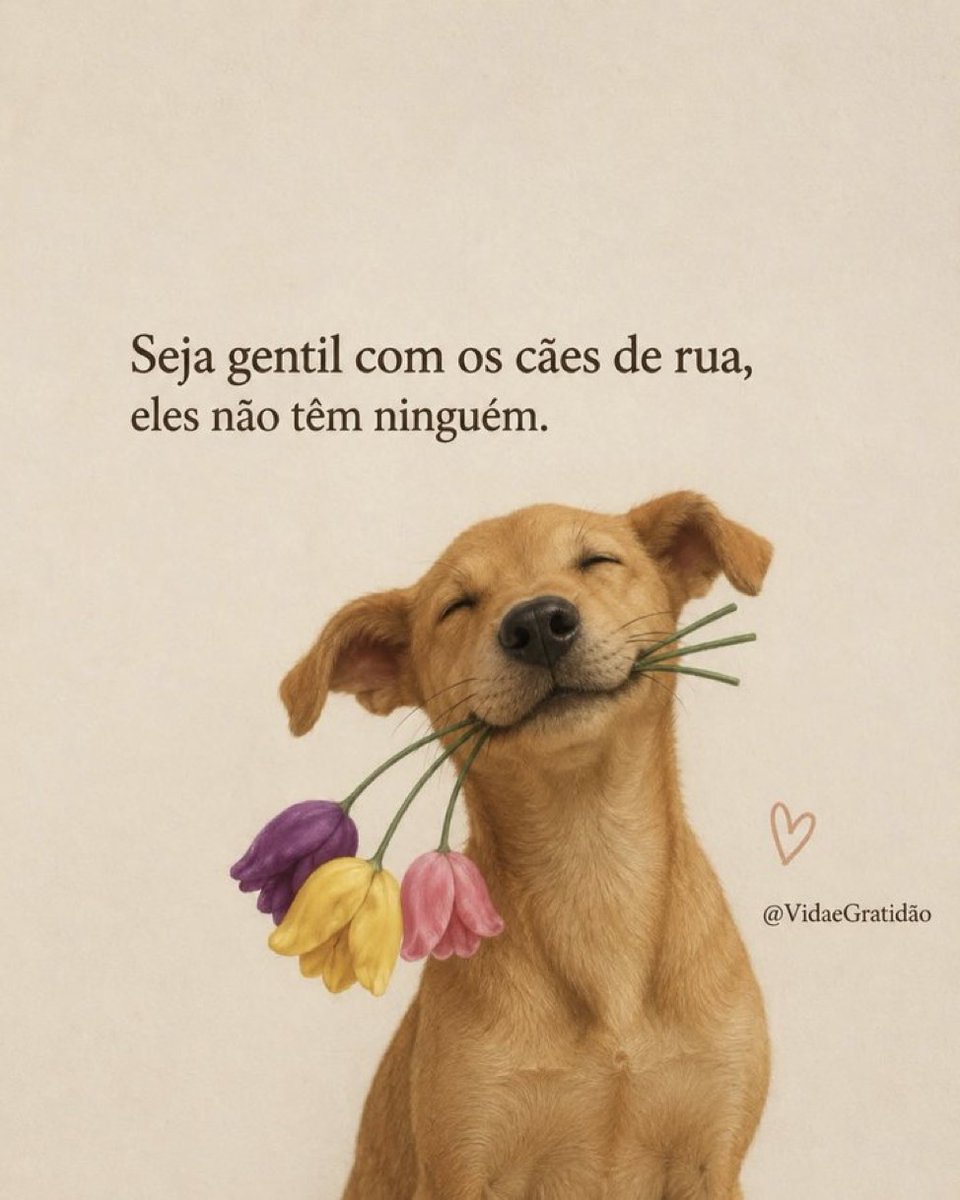 soulembrancas's tweet photo. https://t.co/ner14CDdJH