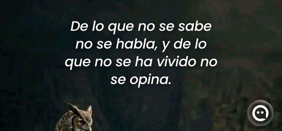 FernandoPeaJr31's tweet photo. 🧘🏻‍♂️ https://t.co/dF7yl1zxwX