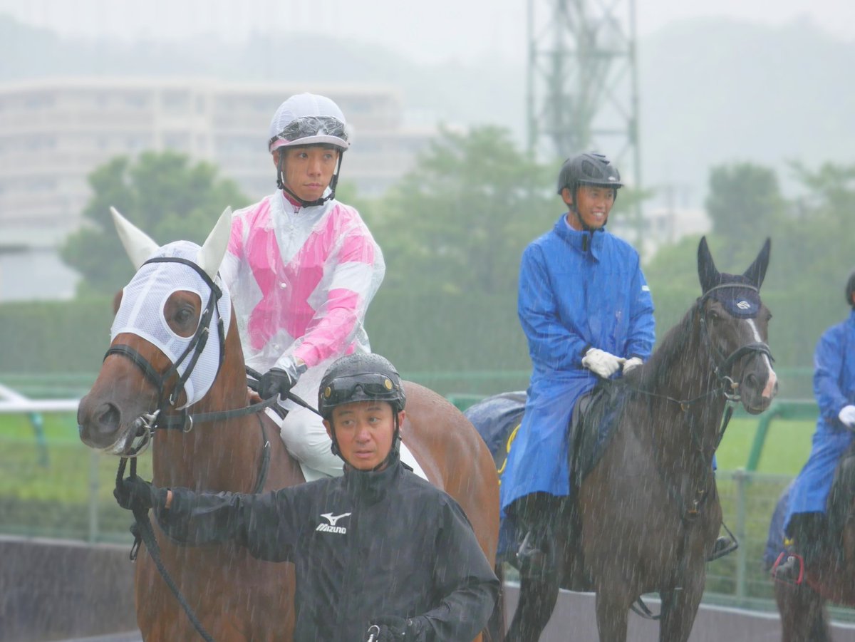 shima0525's tweet photo. 写真を見てから気づいた誘導馬の戸本さん。雨でいろいろと余裕がなかったのが悔やまれる… https://t.co/9BBD4PtJN3