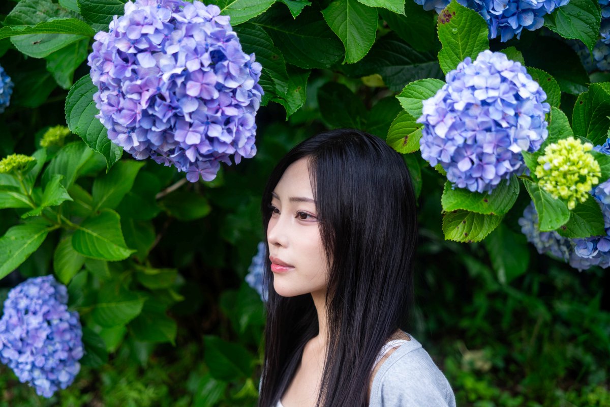 toyosan0720's tweet photo. モデル:Luna(@luna_____cc)
場所:東京
「untitled」
#ポートレート撮影 #モデル撮影 #写真 #batis #リクエスト撮影 #portraits #PHOTOS #あじさい https://t.co/FWjsykMQWo