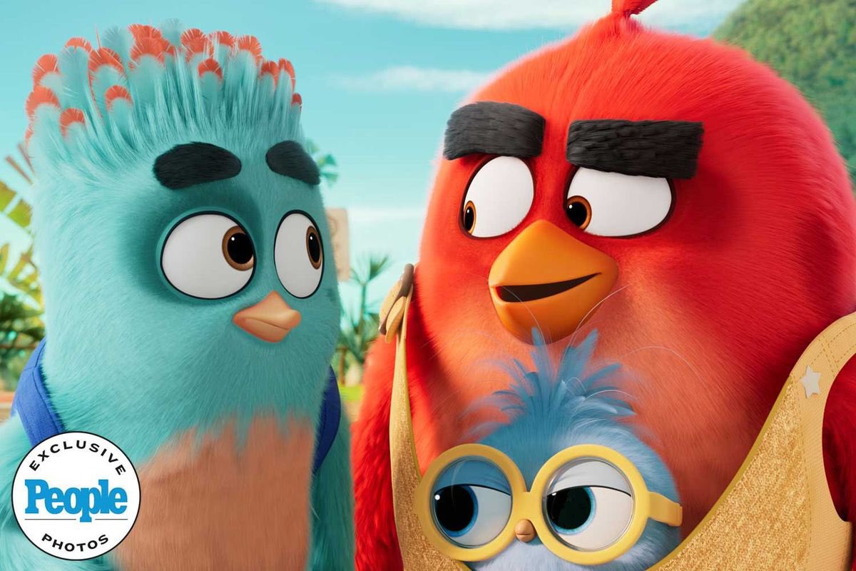 HollywoodHandle's tweet photo. First look at ‘THE ANGRY BIRDS MOVIE 3’

Releasing in theaters on December 23. https://t.co/IOdR984k6w