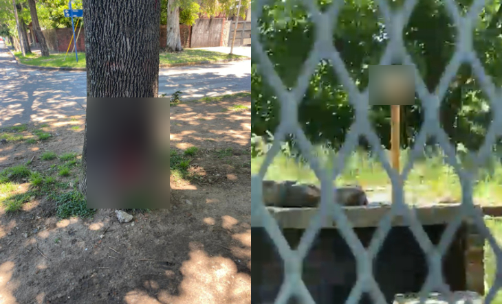 FlashPBA's tweet photo. Nuevamente, vecinos y proteccionistas de las localidades de Villa Luzuriaga y Ramos Mejía, partido de La Matanza, denunciaron ataques del “descuartizador de animales”, un sádico que asesina a gatos y perros del barrio. https://t.co/y1SwNXKITI