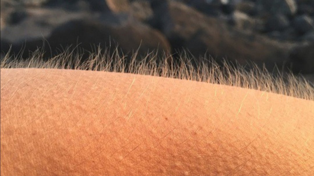 _Katiikat_'s tweet photo. Jak zwykle ciary jak leci acapella #gangłysego https://t.co/X48PFAMRJw