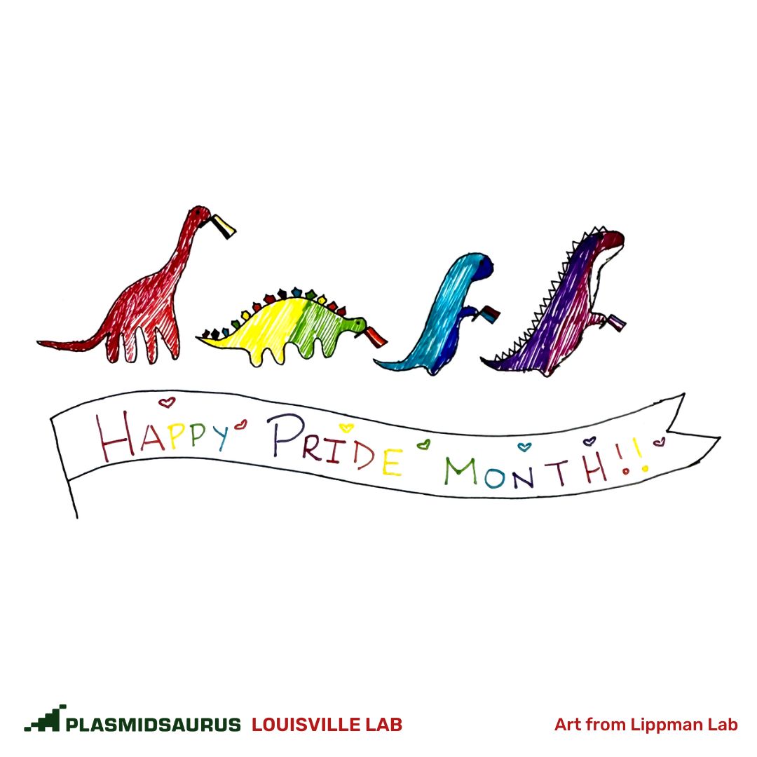 plasmidsaurus tweet media
