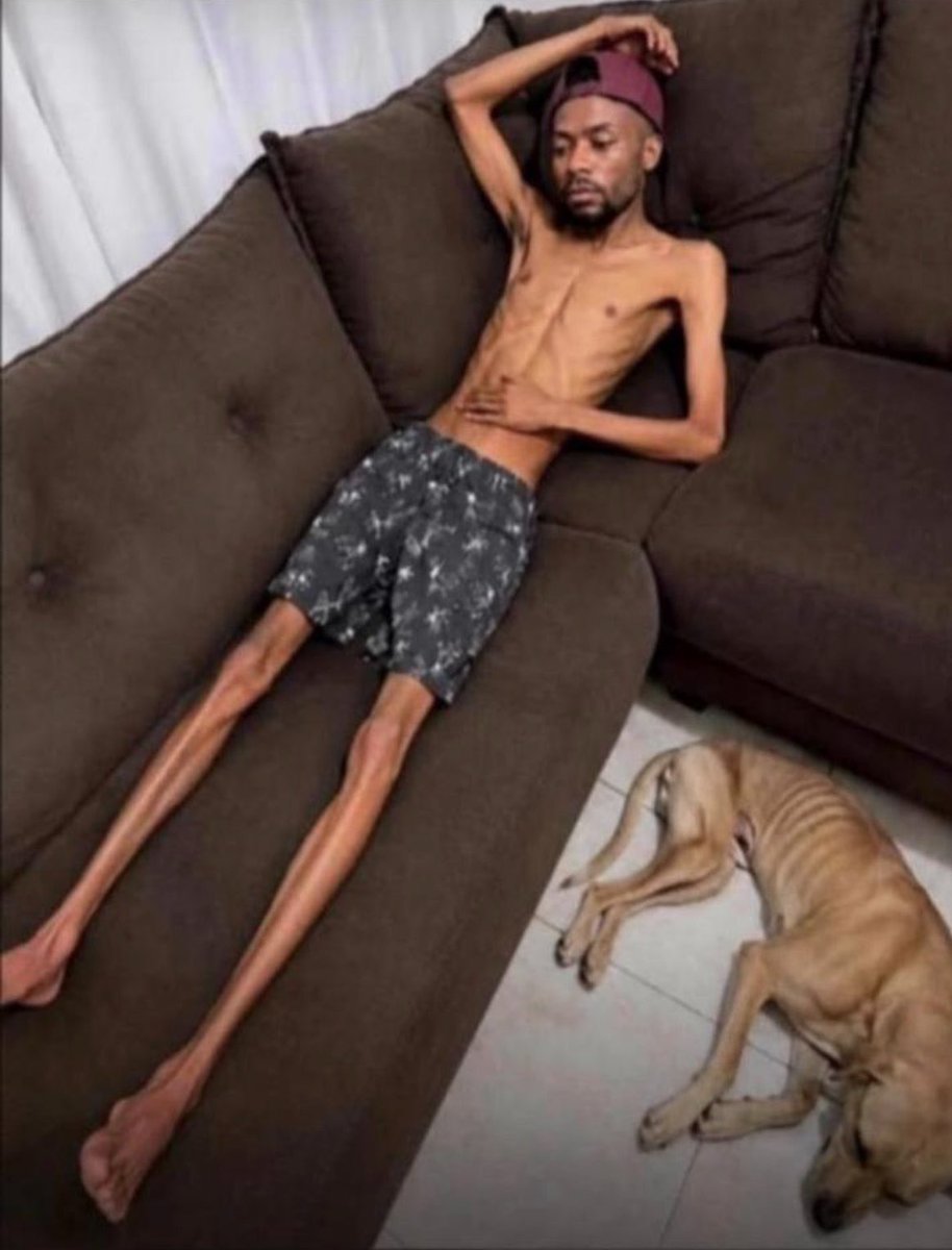 OloriebiBet's tweet photo. What dog owners are going through in this economy. If you no pity yourself, please pity Jack 😭🙏 https://t.co/xITbkekKEo