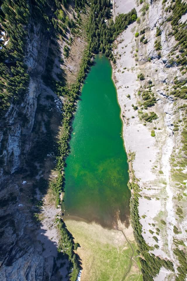 FLAINESki's tweet photo. Trop chaud ? Venez prendre un grand bol d'air pur avec votre tribu ! 😍🏔️

Ici, pas besoin de clim' : la nature s'occupe de tout !  Imaginez des journées à s'éclabousser dans les torrents, des balades face aux sommets et des pique-niques sous les sapins 🌲

Flaine, Haute-Savoie https://t.co/8JCsGdK80N