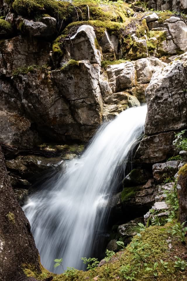 FLAINESki's tweet photo. Trop chaud ? Venez prendre un grand bol d'air pur avec votre tribu ! 😍🏔️

Ici, pas besoin de clim' : la nature s'occupe de tout !  Imaginez des journées à s'éclabousser dans les torrents, des balades face aux sommets et des pique-niques sous les sapins 🌲

Flaine, Haute-Savoie https://t.co/8JCsGdK80N