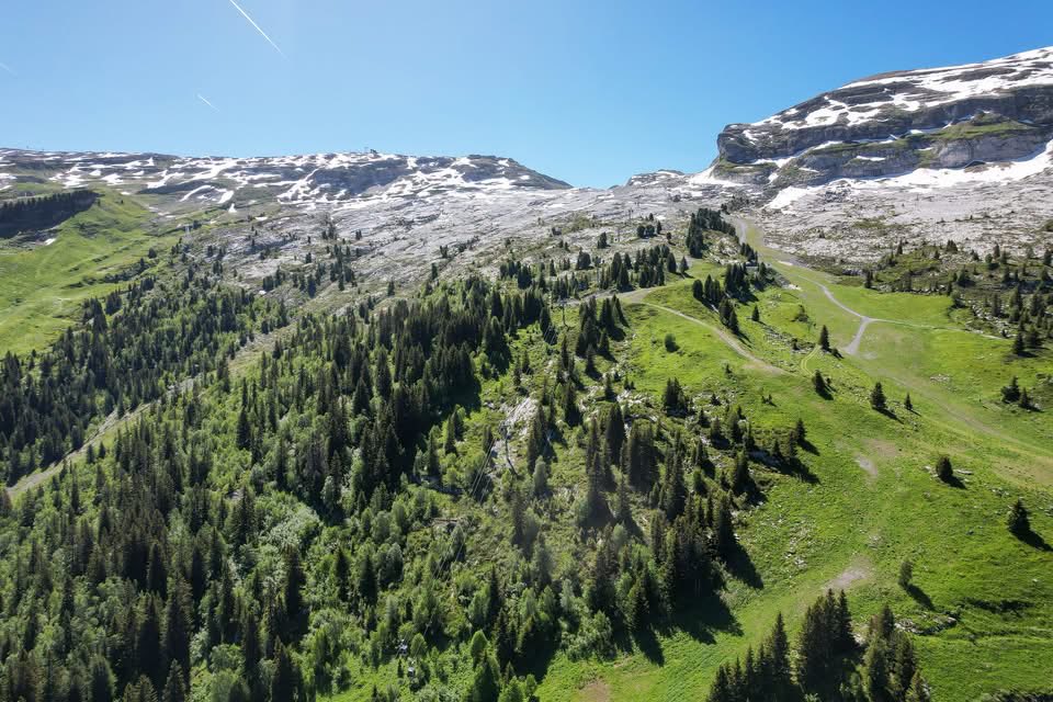 FLAINESki's tweet photo. Trop chaud ? Venez prendre un grand bol d'air pur avec votre tribu ! 😍🏔️

Ici, pas besoin de clim' : la nature s'occupe de tout !  Imaginez des journées à s'éclabousser dans les torrents, des balades face aux sommets et des pique-niques sous les sapins 🌲

Flaine, Haute-Savoie https://t.co/8JCsGdK80N