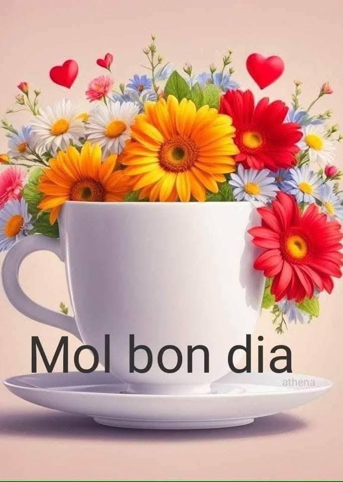diminuta__2's tweet photo. @sumalen59 Buenas tardes Susan 😘 https://t.co/P4vrlEf5nY