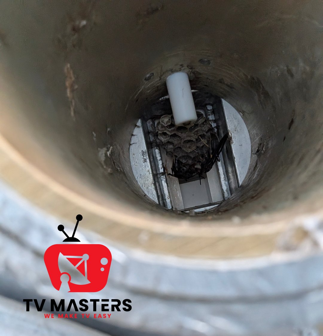EztvMasters's tweet photo. 🚨 BEWARE SUMMERTIME HAZARDS! 🚨Signal interference happens - weather, faulty equip, etc. It's not everyday you go through your troubleshooting list to find you've been fighting a tiny adversary. We're thrilled to report we have successfully cleared yet another Wasp Fade!🐝 https://t.co/mqf9MrLmjx