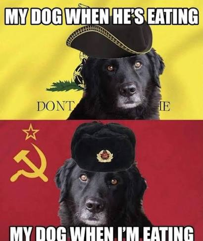 _literallyabear's tweet photo. @candiedwishkey @oh1om1ke https://t.co/NeDreAOrvL

Mike look at this meme I found https://t.co/qY3PG8AjNS