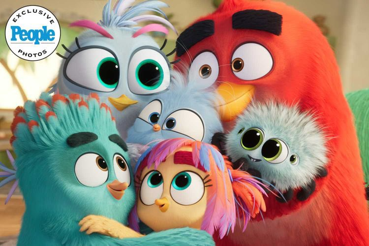 SupremaToons's tweet photo. D'autres nouvelles images d'Angry Birds 3 viennent d'être publiées.

Le film sortira en Décembre au cinéma. https://t.co/txaF6Za5vZ