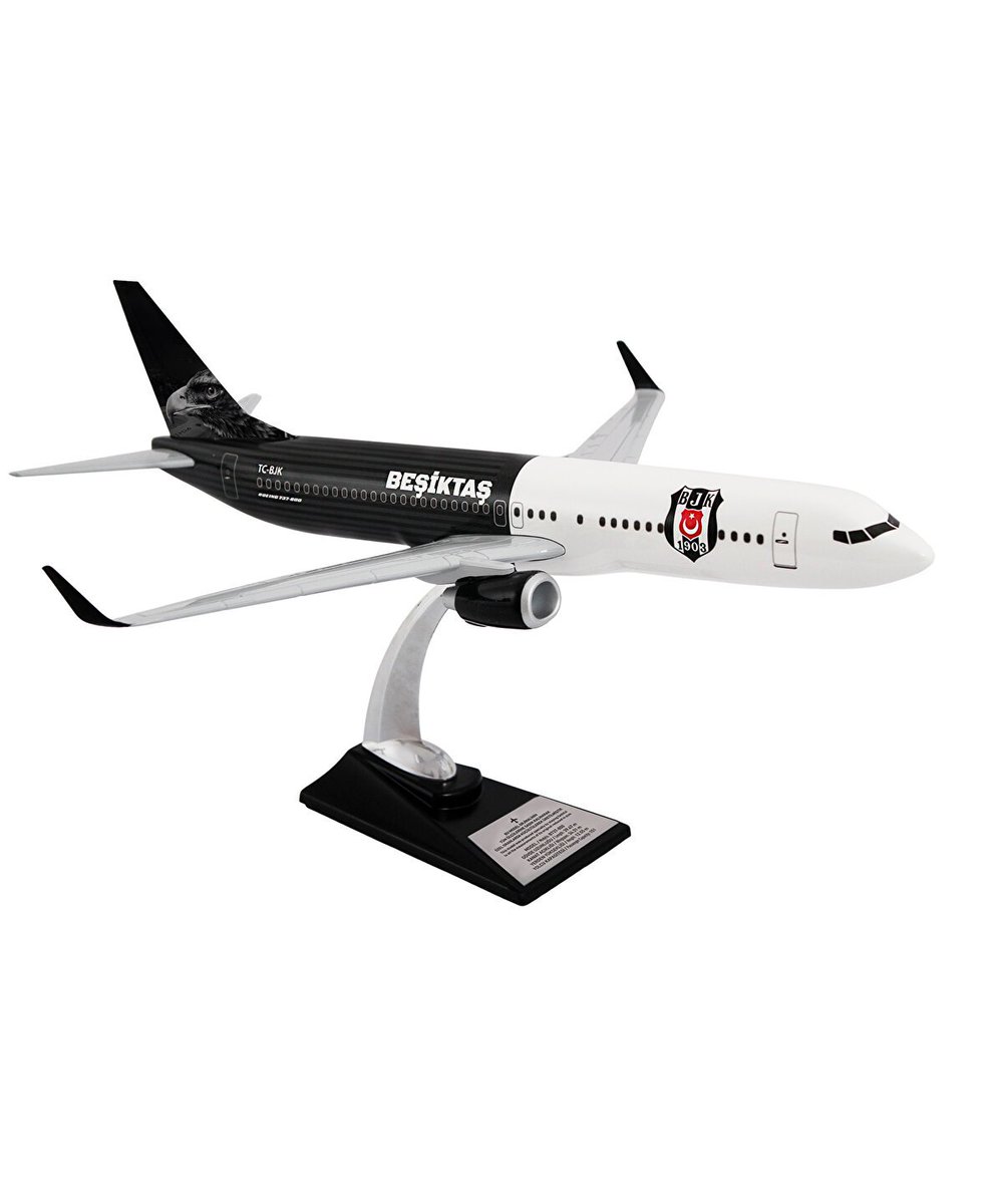 HaberKartali's tweet photo. ✈️ Kartal Yuvası, maket uçaklar satışa sundu.

Fiyat: 3.250₺ https://t.co/Lwpfl4yALa