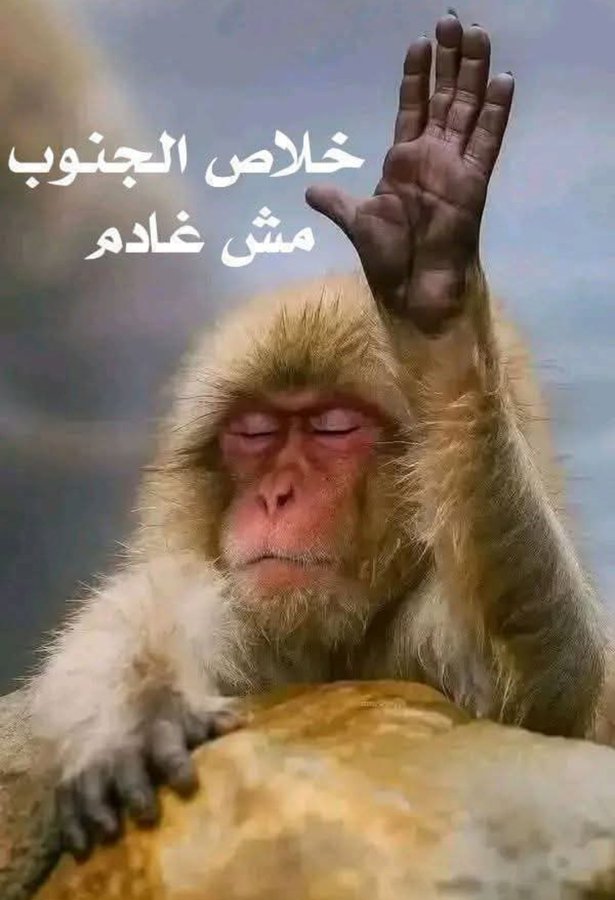 hay77_7's tweet photo. @ahmd11971856538 الغنوب غادم ونفزع غنب ابو غاسم زعيم المغلس البارود 
🤣 
طحنون تركم يا غنوب وما عاد معاكم كفيل ولا عاد معاكم عمل الا تنبحوا في المواقع https://t.co/gWmr10lU5w