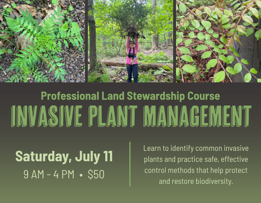 Hawk_Mountain's tweet photo. Spots are still open for our next Professional Land Stewardship Course next month! Come learn from the experts in this hands-on course covering ID of common invasive plants and proven best management practices for their control.

Learn more and register at https://t.co/z36KgsDO6k https://t.co/jir98dxKgT