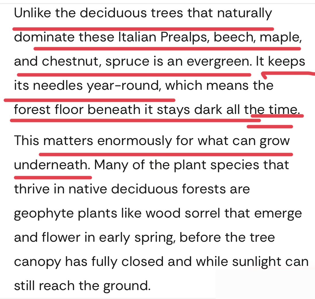 MasterFeed's tweet photo. Italy planted millions of spruce trees to protect the Alps in the 1930’s. 90 years later, scientists find biodiversity has halved

Read more here:

https://t.co/FArVNsfWZc https://t.co/xmKxGwySp9