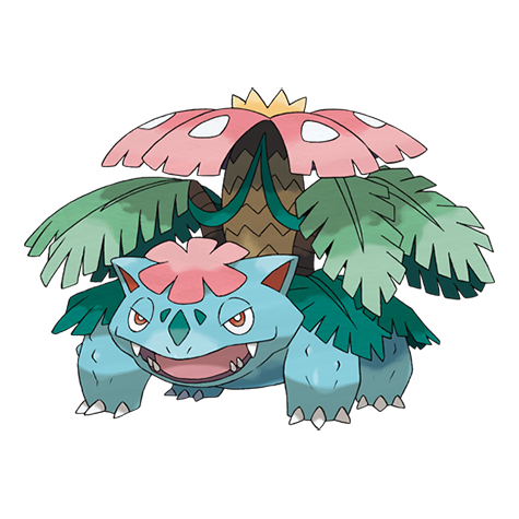 zoaroner's tweet photo. Y a Master Ball con una sola derrota.

Tocaba con M-Venusaur ahora que viene genial para el spam de Swampert y justo usar un equipo en cada temporada con cada inicial de Kanto. https://t.co/VyjUhGv5uN